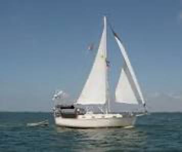 Island Packet 31