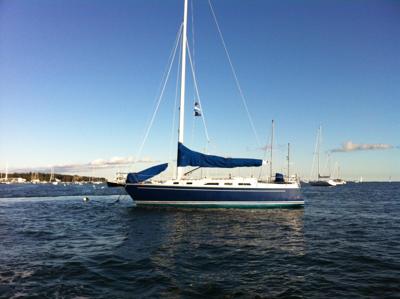 Freedom 36