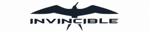 Invincible Center Consoles boats
