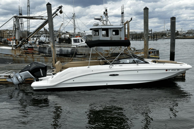 Sea Ray 250 SDX OB
