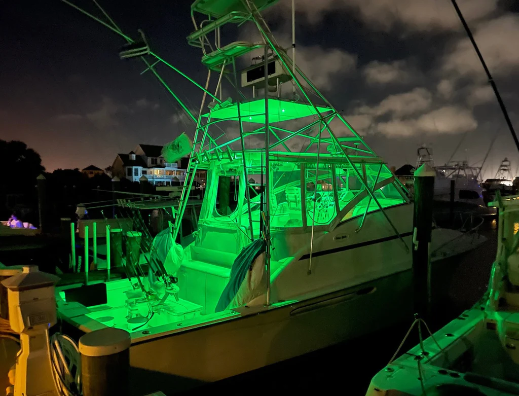 Black Oak LED: Unleashing Illumination Excellence